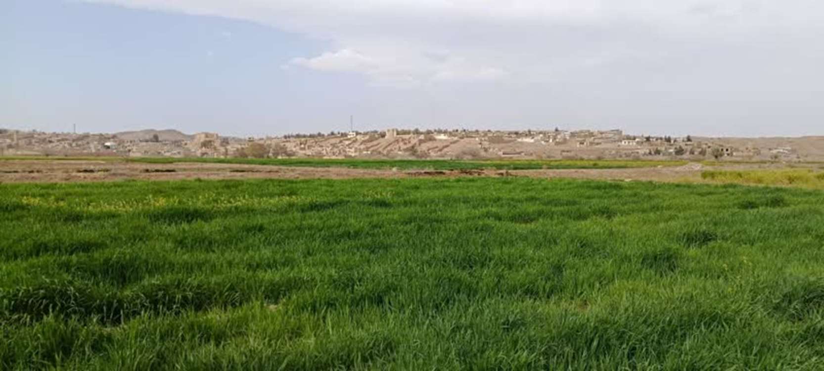 بافران 2 فروردین 